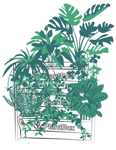 PlantBox-Diagram-1-300x171_3